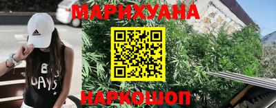 спайс Кингисепп