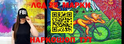 спайс Кингисепп