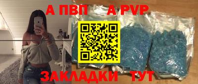 спайс Кингисепп