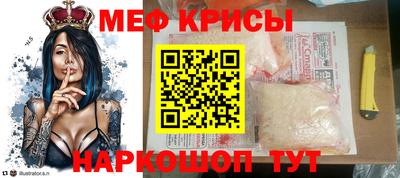 спайс Кингисепп